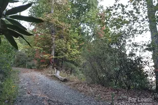 Tbd Mack Luke Rd, Whittier, NC 28789 - Photo 16