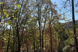 Tbd Mack Luke Rd, Whittier, NC 28789 - Photo 10