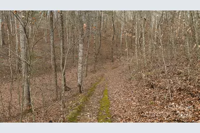 0 Foster Oliver Lane, Lansing, NC 28643 - Photo 22