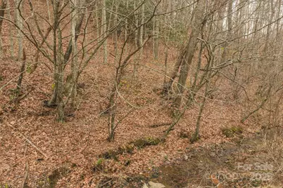 0 Foster Oliver Lane, Lansing, NC 28643 - Photo 6