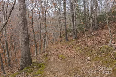 0 Foster Oliver Lane, Lansing, NC 28643 - Photo 8