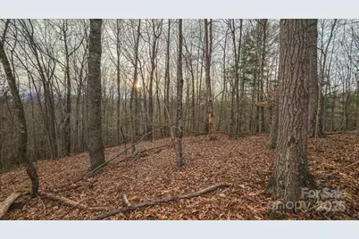 0 Foster Oliver Lane, Lansing, NC 28643 - Photo 32