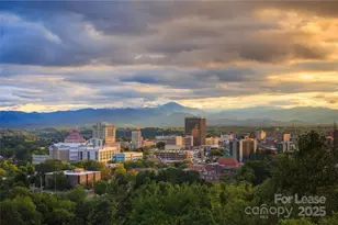 543 College St, Asheville, NC 28801 - Photo 22