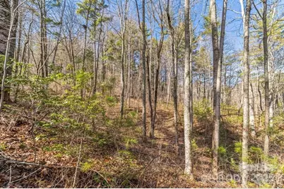 99999 Mill Road, Asheville, NC 28805 - Photo 4