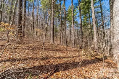 99999 Mill Road, Asheville, NC 28805 - Photo 1