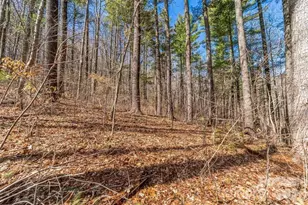 99999 Mill Rd, Asheville, NC 28805 - Photo 1