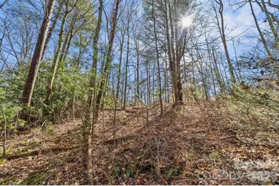 99999 Mill Road, Asheville, NC 28805 - Photo 6