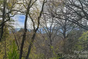 10 Lance Ln, Asheville, NC 28806 - Photo 38