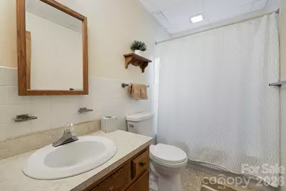 65 Roy Lane, Black Mountain, NC 28711 - Photo 26