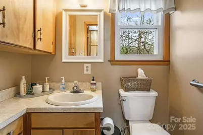 65 Roy Lane, Black Mountain, NC 28711 - Photo 18