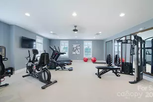 247 Alenda Lux Cir, Mooresville, NC 28115 - Photo 14