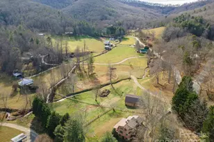 366 Dix Creek Rd, Leicester, NC 28748 - Photo 46