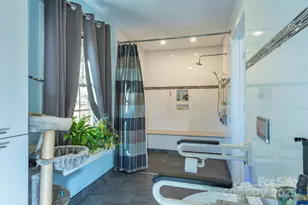 366 Dix Creek Rd, Leicester, NC 28748 - Photo 18