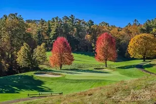 21 Mapleleaf Ln, Glade Valley, NC 28627 - Photo 38