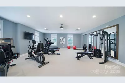 240 Alenda Lux Circle, Mooresville, NC 28115 - Photo 14