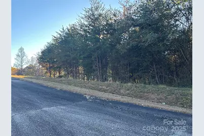 0 Rock Ledge Drive #339, Lake Lure, NC 28746 - Photo 10