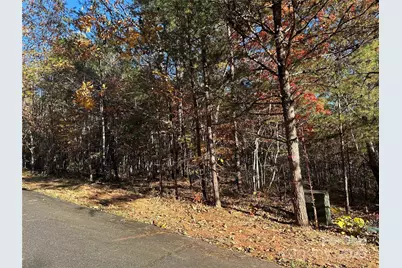 0 Rock Ledge Drive #339, Lake Lure, NC 28746 - Photo 2