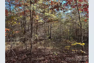 0 Rock Ledge Drive #339, Lake Lure, NC 28746 - Photo 4