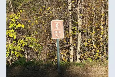 0 Rock Ledge Drive #339, Lake Lure, NC 28746 - Photo 6