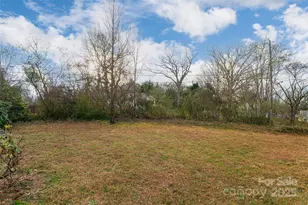 40 Jonestown Rd, Asheville, NC 28804 - Photo 38