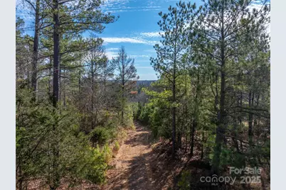 0000 Quarter Round Road #9, Pacolet, SC 29372 - Photo 4