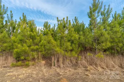 0000 Quarter Round Road #9, Pacolet, SC 29372 - Photo 38