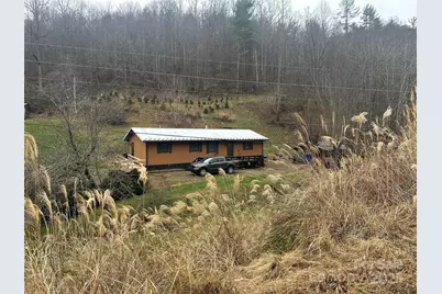 321 Raccoon Branch Road, Green Mountain, NC 28740 - Photo 4