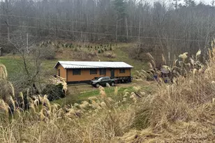 321 Raccoon Branch Rd, Green Mountain, NC 28740 - Photo 4