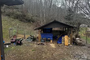 321 Raccoon Branch Rd, Green Mountain, NC 28740 - Photo 18