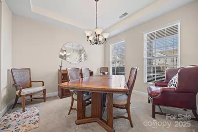 11911 Carolina Blossom Lane, Pineville, NC 28134 - Photo 4