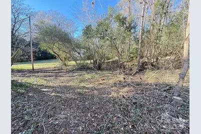 220 Te White Sr Drive, Albemarle, NC 28001 - Photo 4