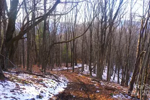 Sr-1386 W Sang Branch Hog Branch Road W, Burnsville, NC 28714 - Photo 12