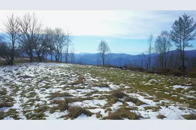 Sr-1386 W Sang Branch, Hog Branch Road W, Burnsville, NC 28714 - Photo 2