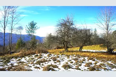 Sr-1386 W Sang Branch, Hog Branch Road W, Burnsville, NC 28714 - Photo 8