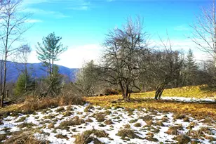 Sr-1386 W Sang Branch Hog Branch Road W, Burnsville, NC 28714 - Photo 8