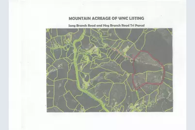 Sr-1386 W Sang Branch, Hog Branch Road W, Burnsville, NC 28714 - Photo 16