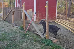 13380 Hwy 601 Hwy, Midland, NC 28107 - Photo 6