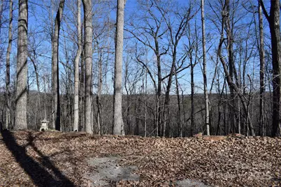 228 Wildwood Lane, Columbus, NC 28722 - Photo 42