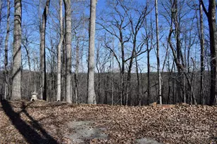 228 Wildwood Ln, Columbus, NC 28722 - Photo 42