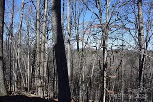 228 Wildwood Ln, Columbus, NC 28722 - Photo 46