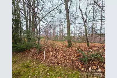 0 Dragonfly Court #Lot 3, Spruce Pine, NC 28777 - Photo 8