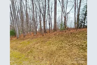 0 Dragonfly Court #Lot 3, Spruce Pine, NC 28777 - Photo 10