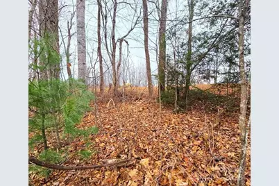 0 Dragonfly Court #Lot 3, Spruce Pine, NC 28777 - Photo 12