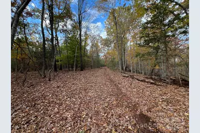 8277 Lockhart Road, Sharon, SC 29742 - Photo 34