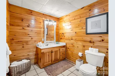 446 Rainbow Circle, Lake Lure, NC 28746 - Photo 44