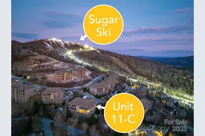 120 Pleasant View Boulevard, Sugar Mountain, NC 28604 - Photo 2