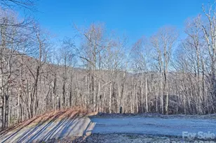 171 Sharons Bluff, Franklin, NC 28734 - Photo 42