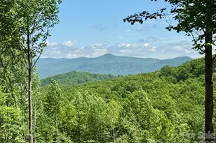 1143 Grandview Peaks Dr, Nebo, NC 28761 - Photo 14