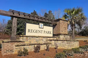 2914 Cherry Blossom Ct, Fort Mill, SC 29715 - Photo 40