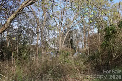 Lot 16 Lake Front Drive, Catawba, NC 28609 - Photo 18